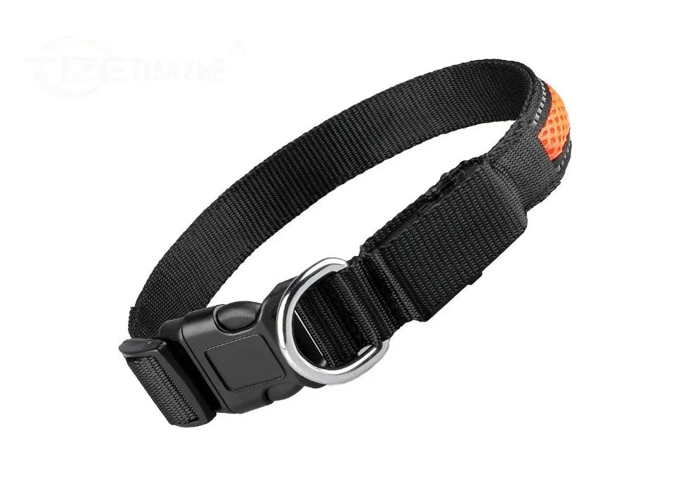 Collier Lumineux Chien LED