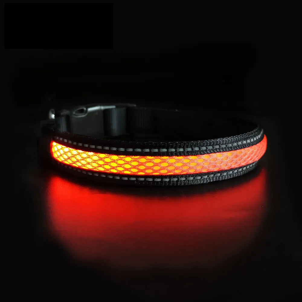 Collier Lumineux Chien LED-Pile Poils