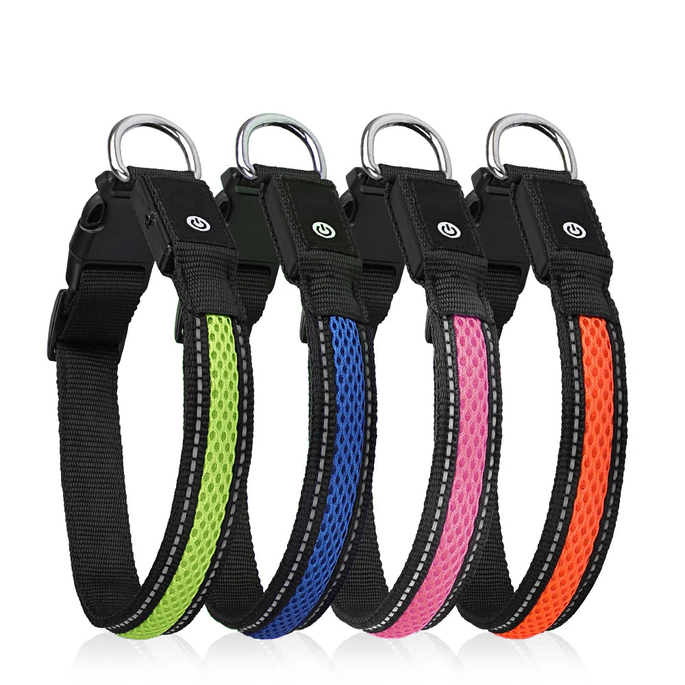 Collier Lumineux Chien LED-Pile Poils