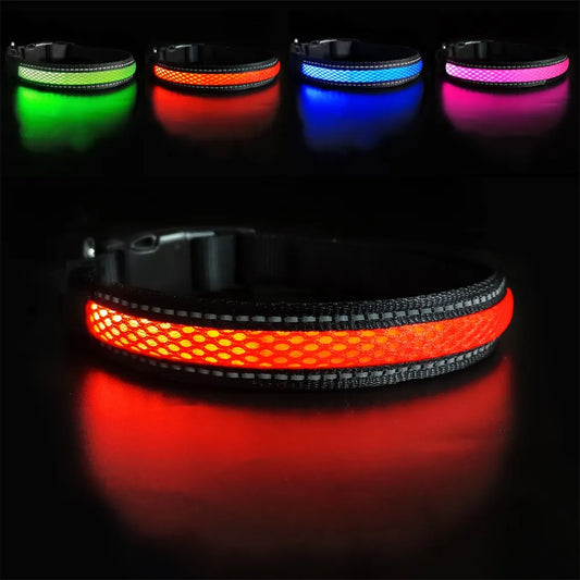 Collier Lumineux Chien LED