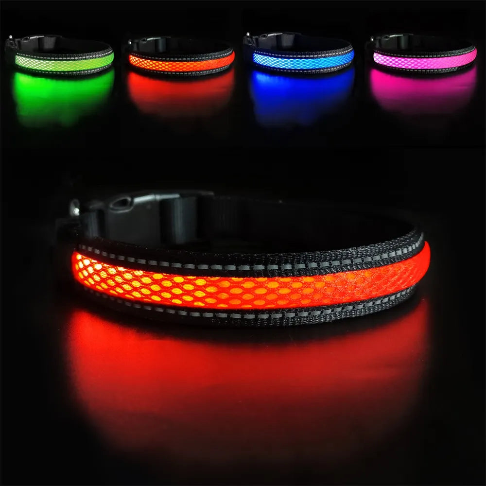 Collier Lumineux Chien LED-Pile Poils