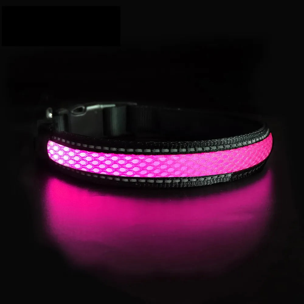 Collier Lumineux Chien LED-Pile Poils