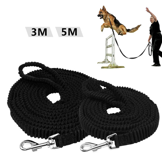 Laisse Agility Chien élastique 3 - 5m