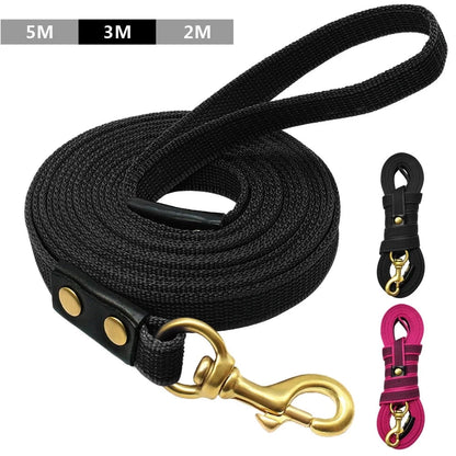 Laisse Dressage Chien 2 - 3 - 5m