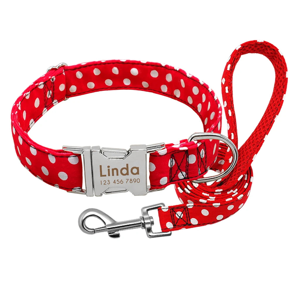 Pack Collier Personnalisé Chien et Laisse - Pois-Pile Poils