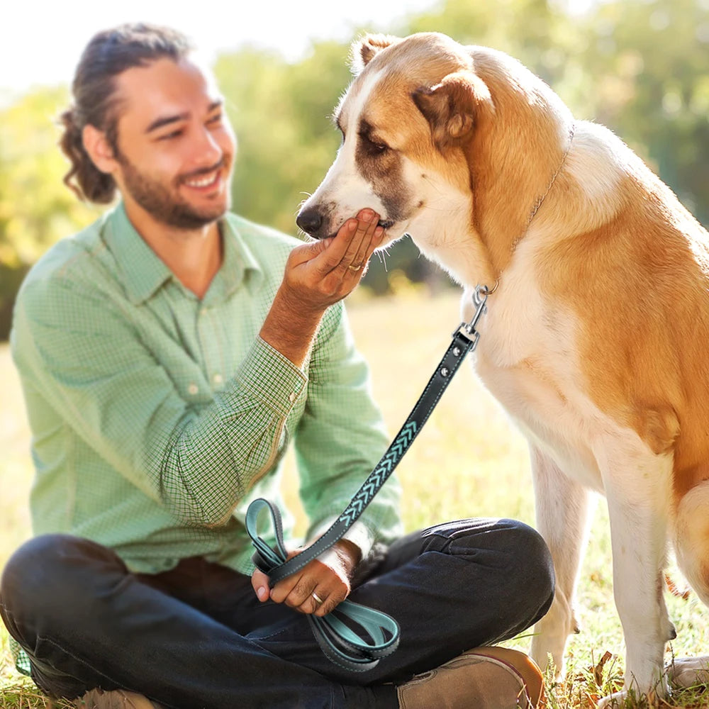 Laisse Cuir Rembourré Chien