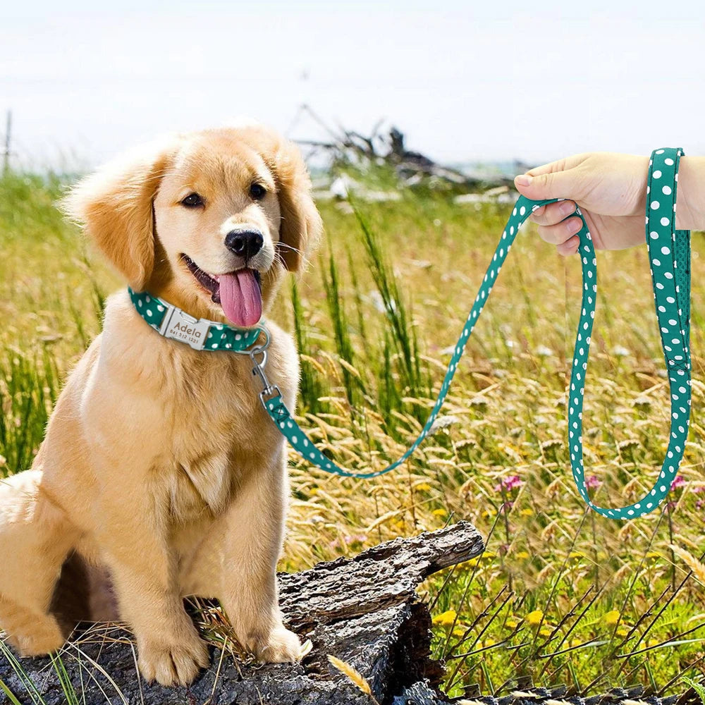 Pack Collier Personnalisé Chien et Laisse - Pois-Pile Poils