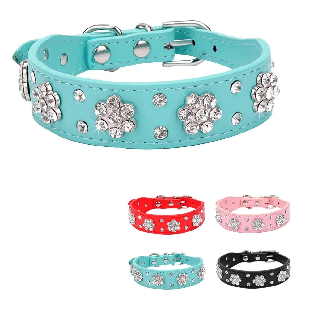 Collier chien - Diamant Flowers-Pile Poils