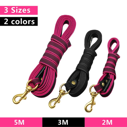 Laisse Dressage Chien 2 - 3 - 5m