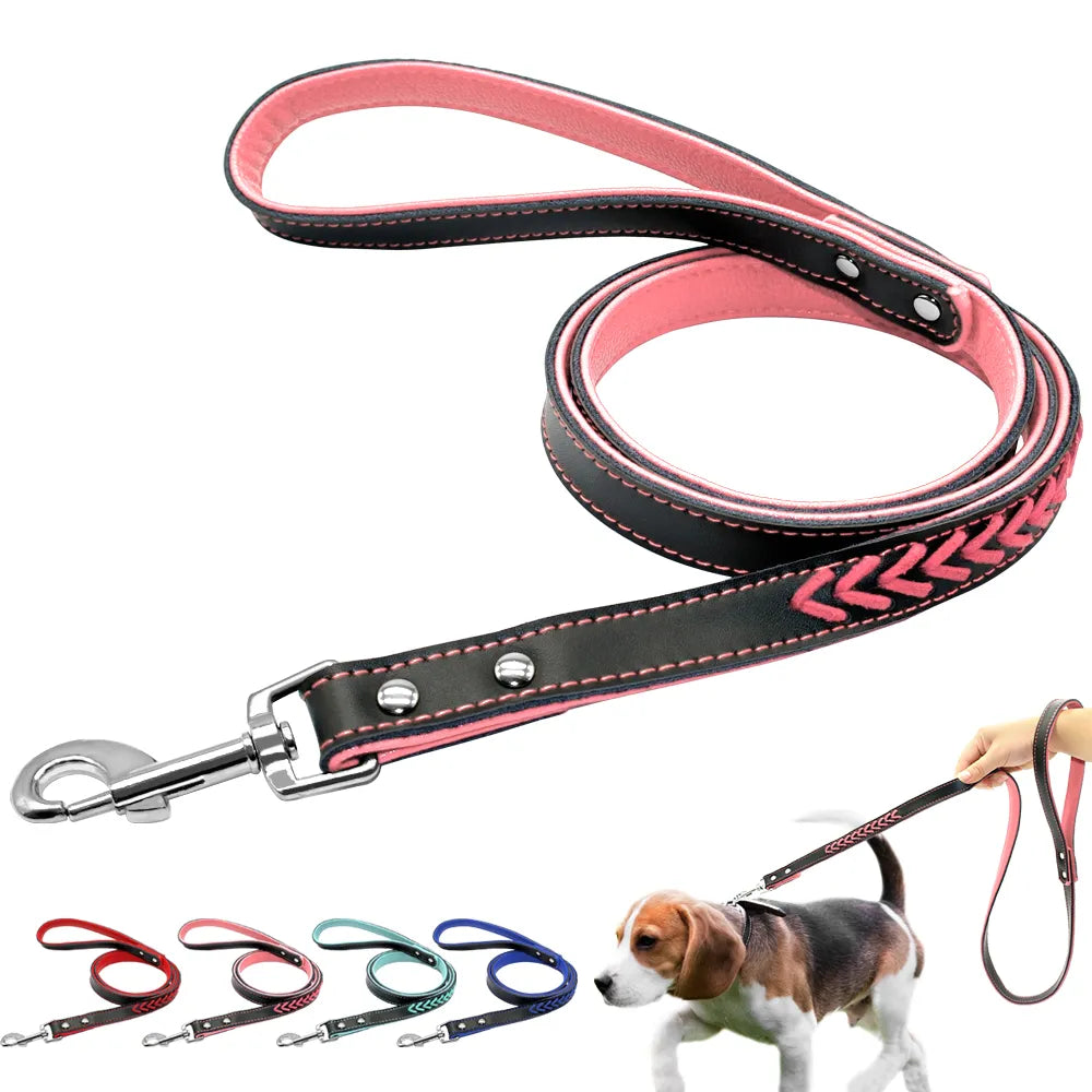 Laisse Cuir Rembourré Chien