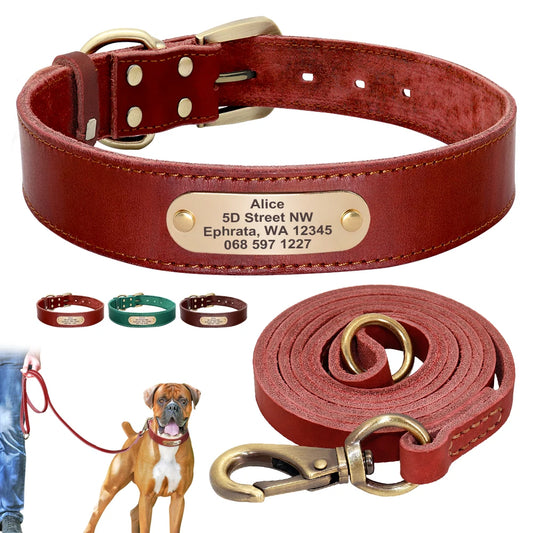 Pack Collier Personnalisé et Laisse Chien - Cuir - Coco-Pile Poils