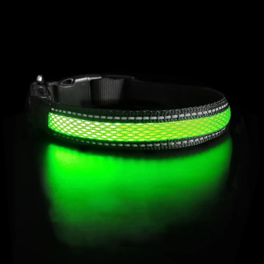 Collier Lumineux Chien LED-Pile Poils