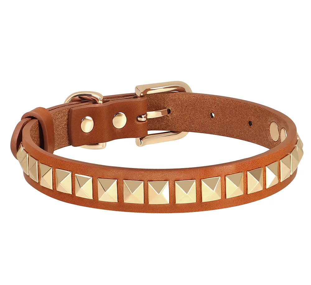 Collier Cuir Chien à Rivets Dorés-Pile Poils