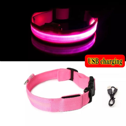 Collier Chien Lumineux Led et Batterie - Light-Pile Poils