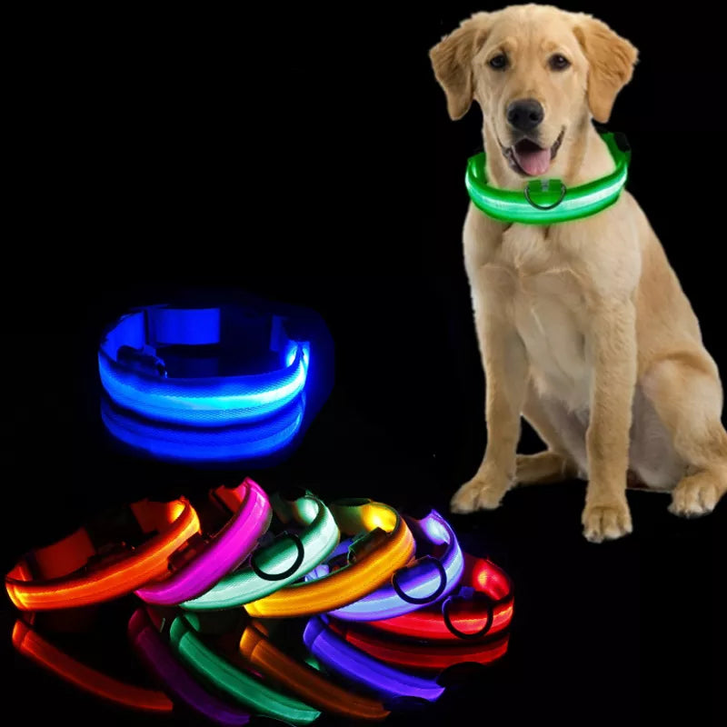 Collier Chien Lumineux Led et Batterie - Light-Pile Poils