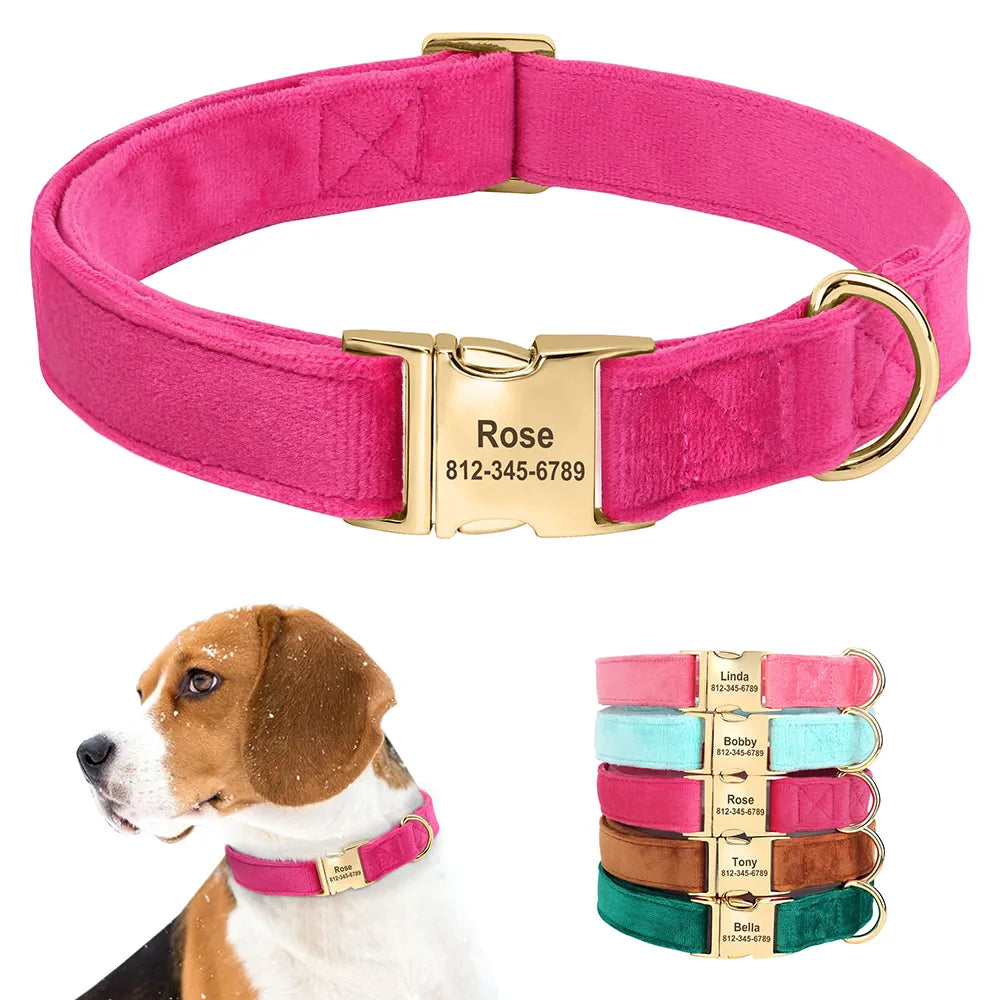 Collier Chien Personnalisé - Velours et Doré-Pile Poils