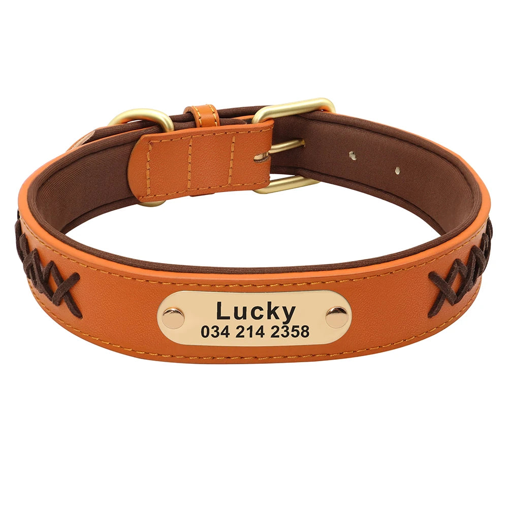 Pack Collier Personnalisé et Laisse Chien - Cuir Tressé-Pile Poils