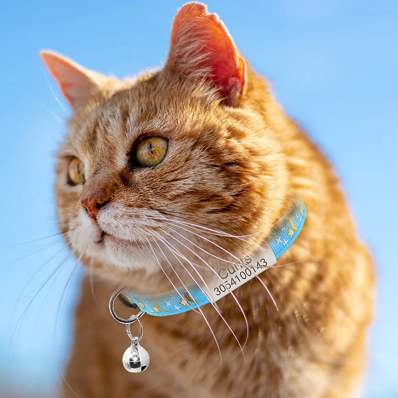 Collier Chat Personnalisé - Nœud Papillon Amovible