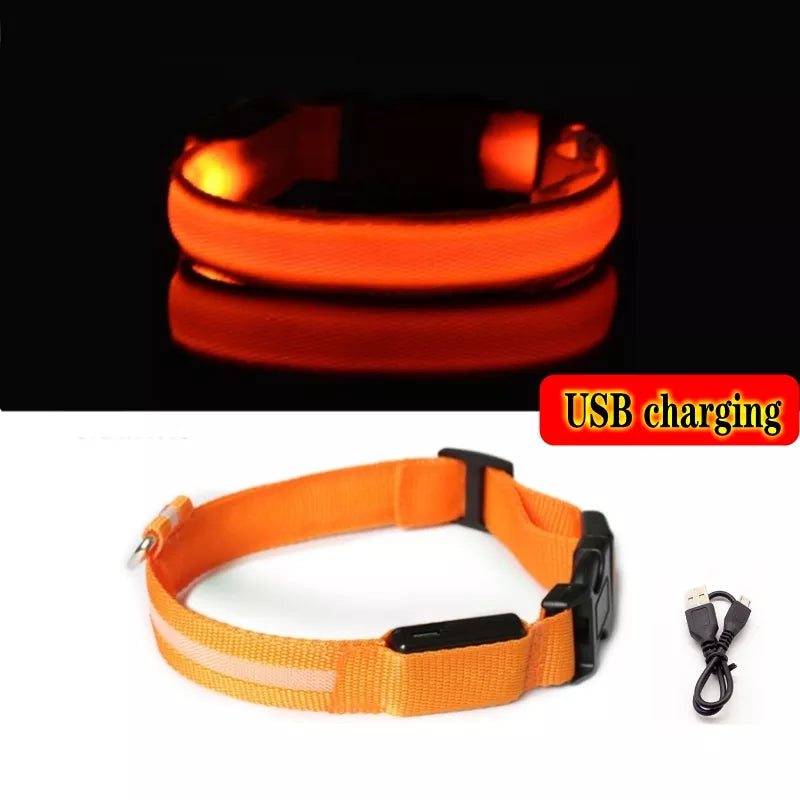 Collier Chien Lumineux Led et Batterie - Light-Pile Poils