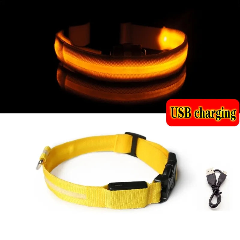 Collier Chien Lumineux Led et Batterie - Light-Pile Poils