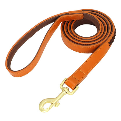 Pack Collier Personnalisé et Laisse Chien - Cuir Tressé-Pile Poils