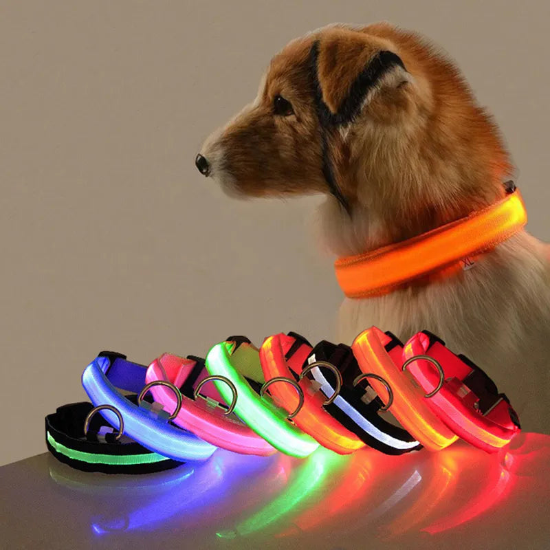 Collier Chien Lumineux Led et Batterie - Light-Pile Poils