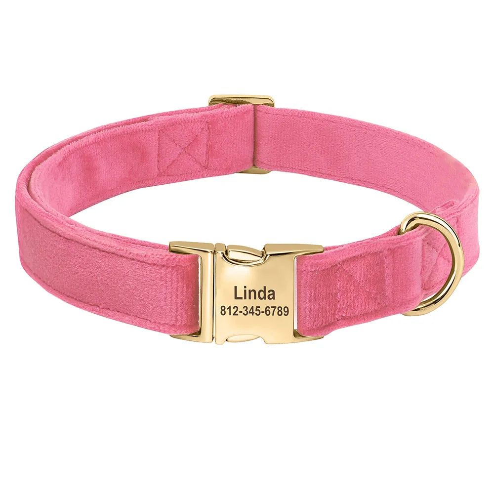 Collier Chien Personnalisé - Velours et Doré-Pile Poils