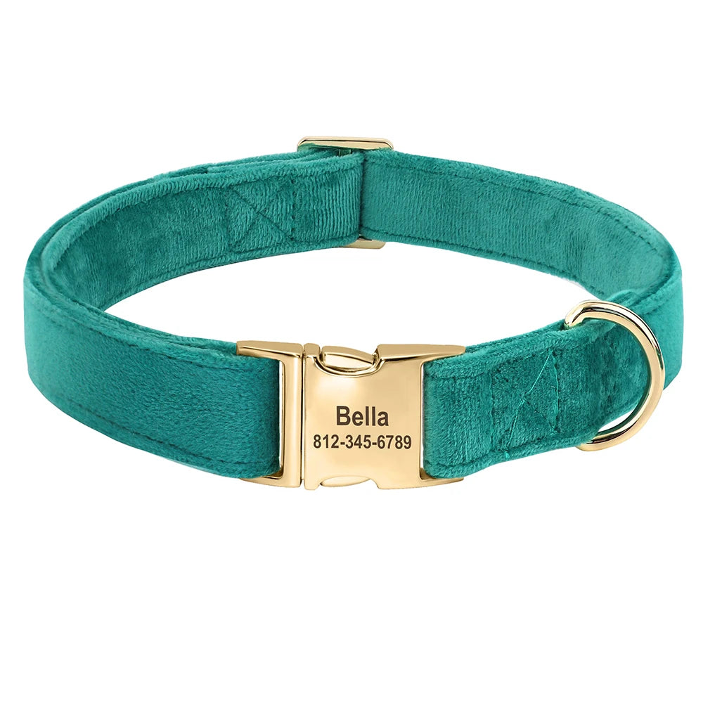 Collier Chien Personnalisé - Velours et Doré-Pile Poils