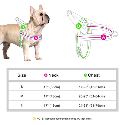 Harnais Anti-Traction Colored Chien