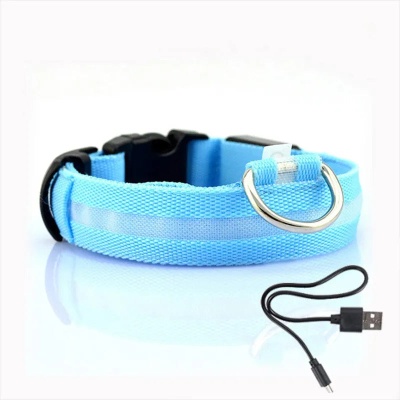 Collier Chien Lumineux Led et Batterie - Light-Pile Poils