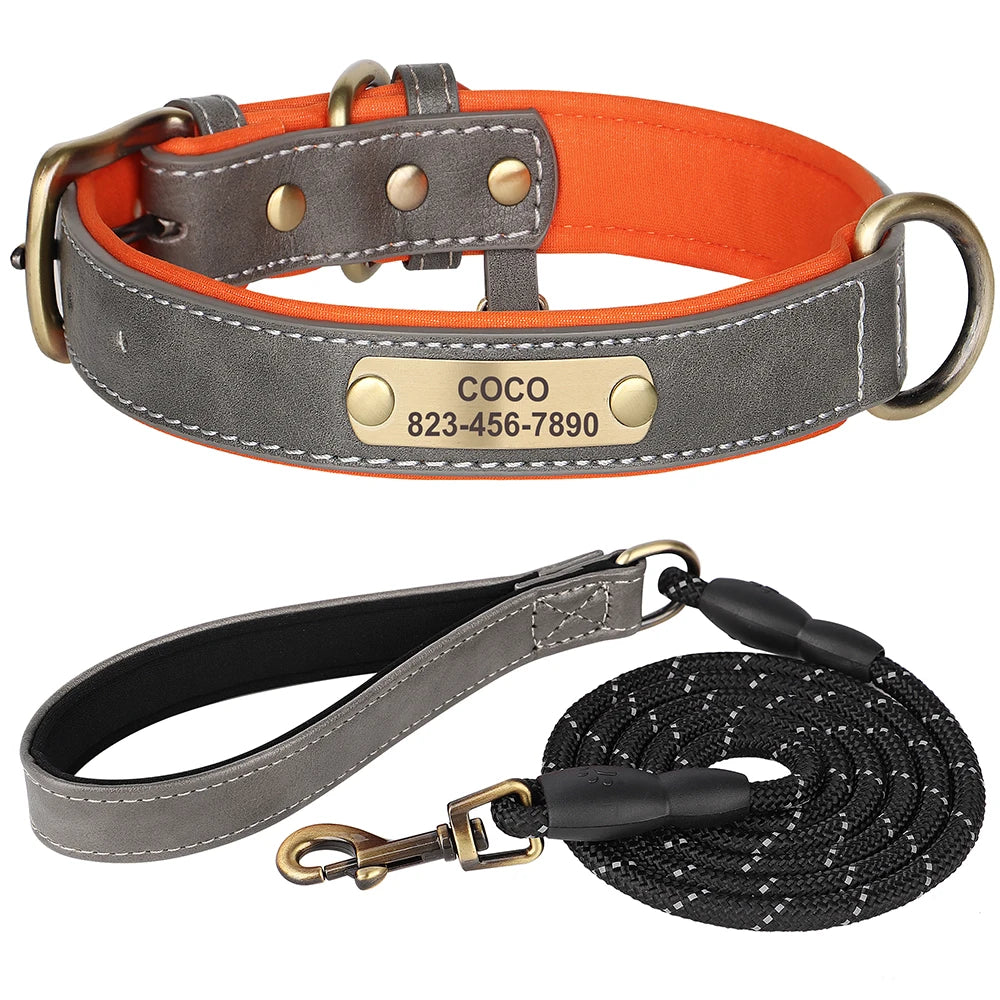 Pack Collier Personnalisé et Laisse Chien - Cuir Rembourré-Pile Poils