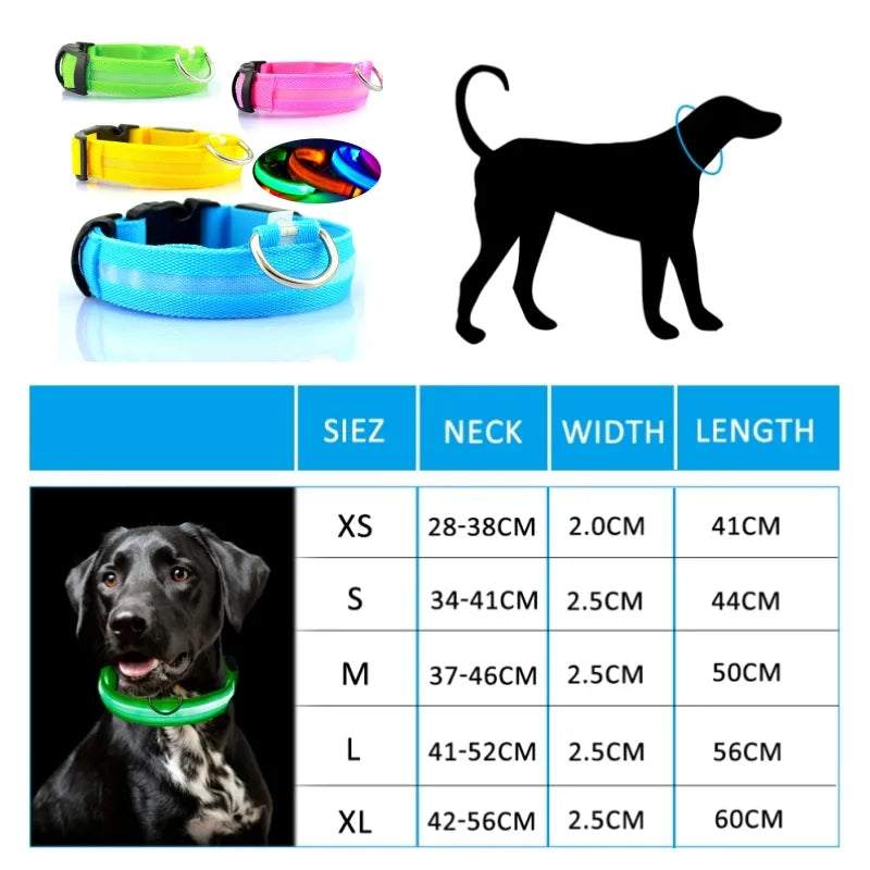 Collier Chien Lumineux Led et Batterie - Light-Pile Poils