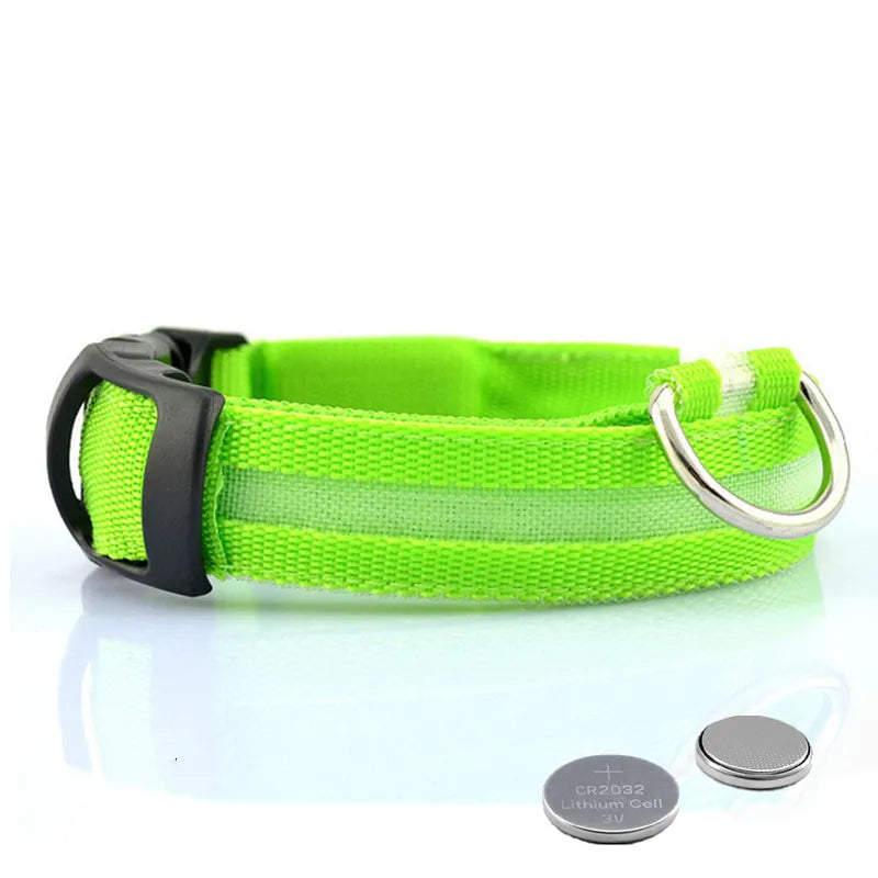 Collier Chien Lumineux Led et Batterie - Light-Pile Poils