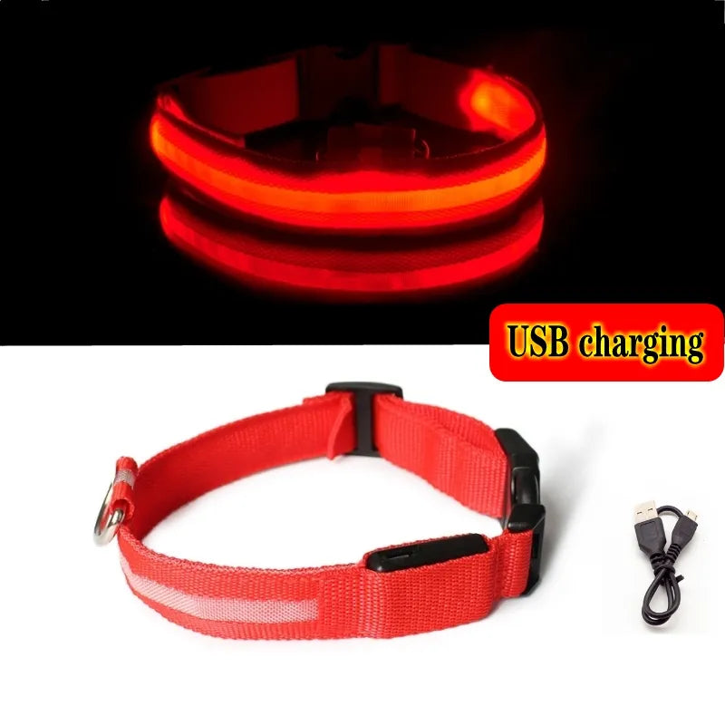 Collier Chien Lumineux Led et Batterie - Light-Pile Poils