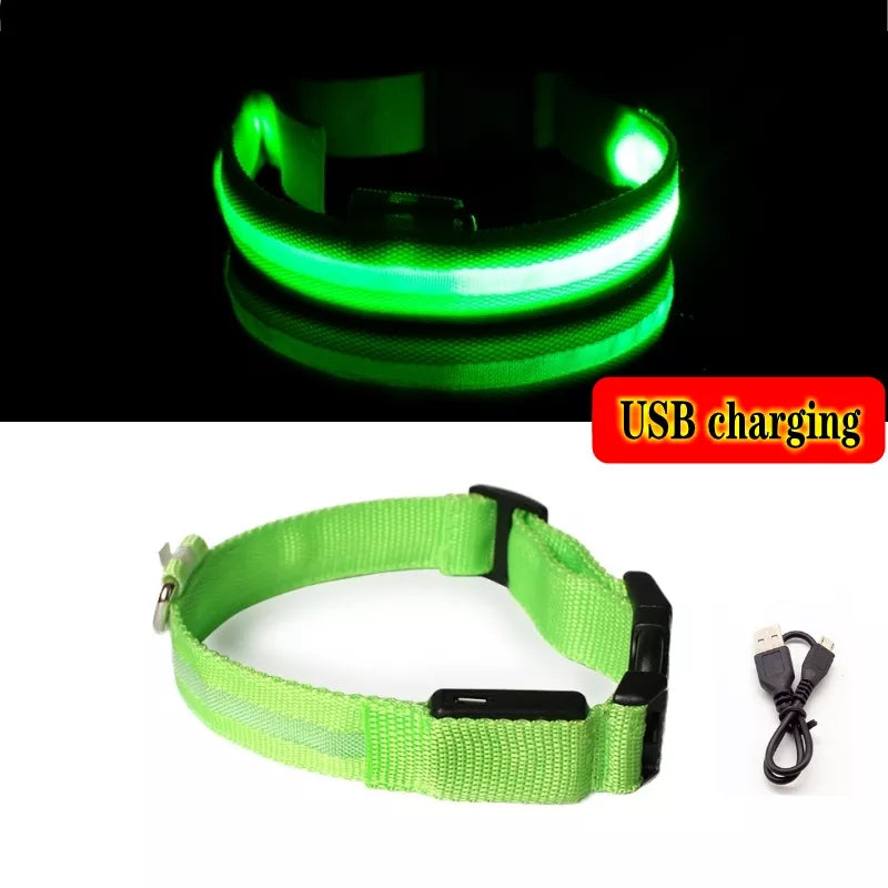 Collier Chien Lumineux Led et Batterie - Light-Pile Poils