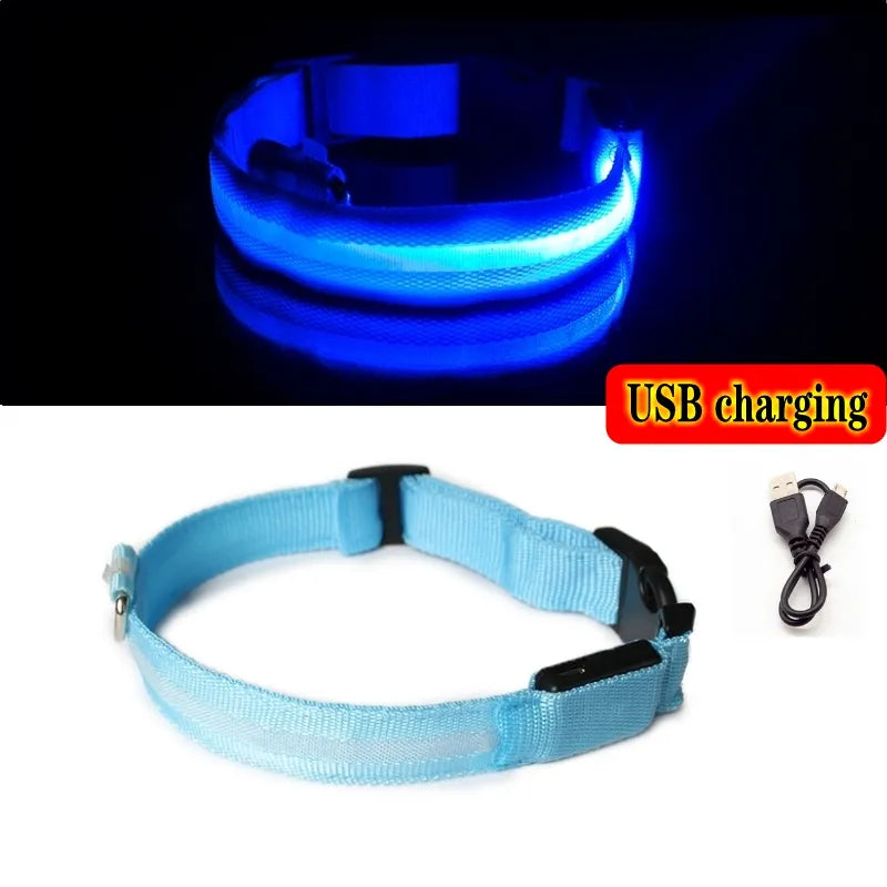 Collier Chien Lumineux Led et Batterie - Light-Pile Poils