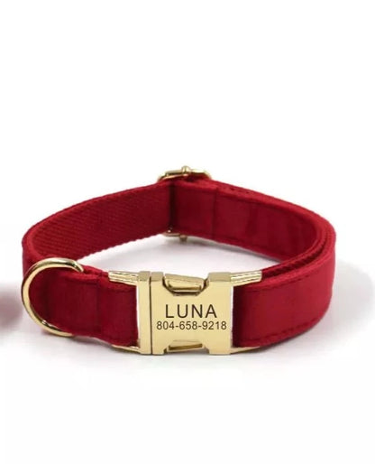 Collier Chien Personnalisé - Rouge-Pile Poils