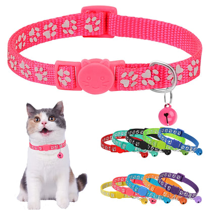 Collier Chat Anti-Étranglement et Réfléchissant