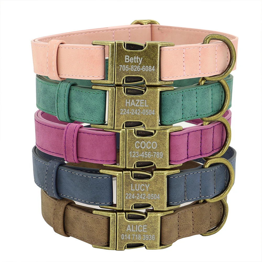 Pack Collier Personnalisé et Laisse Chien - Cuir - Lucy-Pile Poils