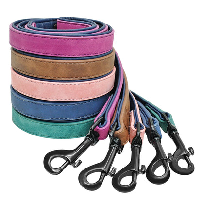 Pack Collier Personnalisé et Laisse Chien - Cuir - Lucy-Pile Poils