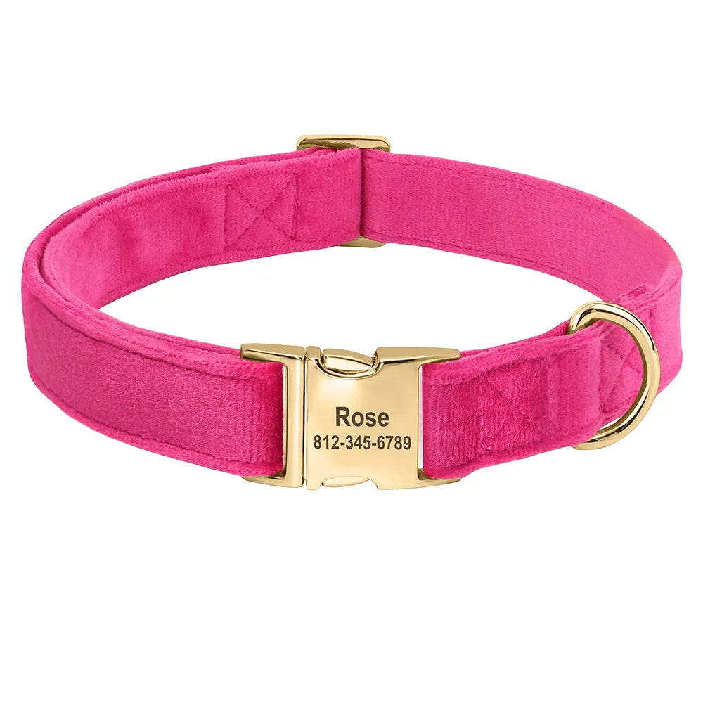 Collier Chien Personnalisé - Velours et Doré-Pile Poils