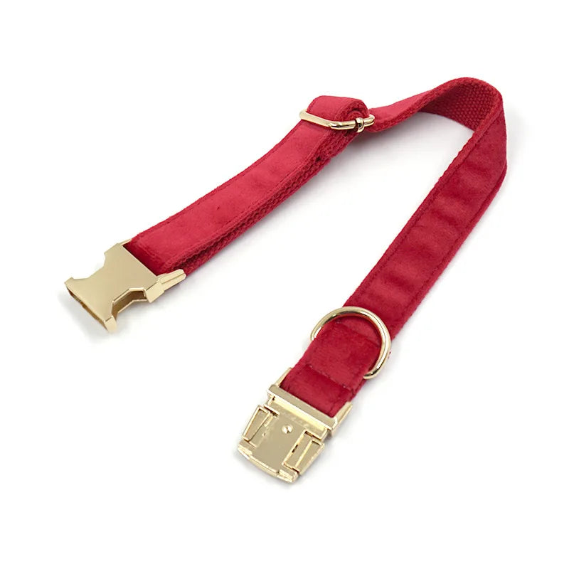 Collier Chien Personnalisé - Rouge-Pile Poils