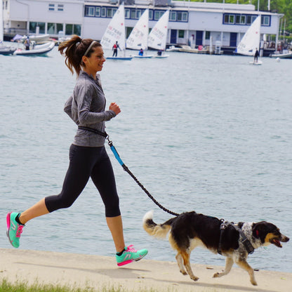 Laisse Main Libre Chien Élastique