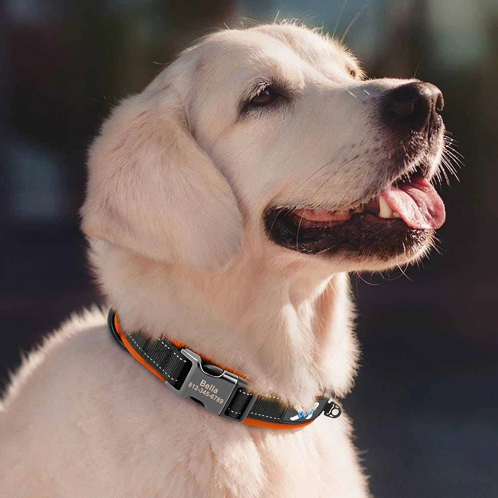 Collier Personnalisé Réfléchissant Chien-Pile Poils