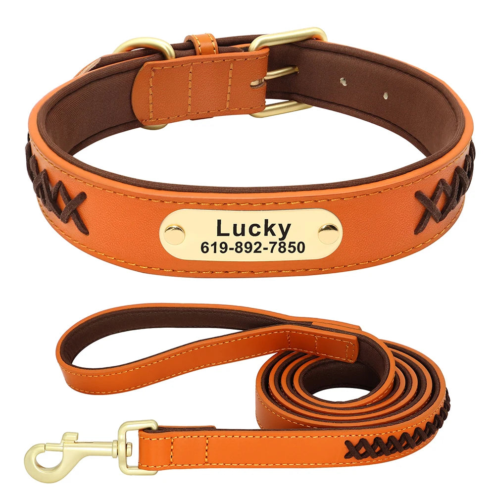 Pack Collier Personnalisé et Laisse Chien - Cuir Tressé-Pile Poils