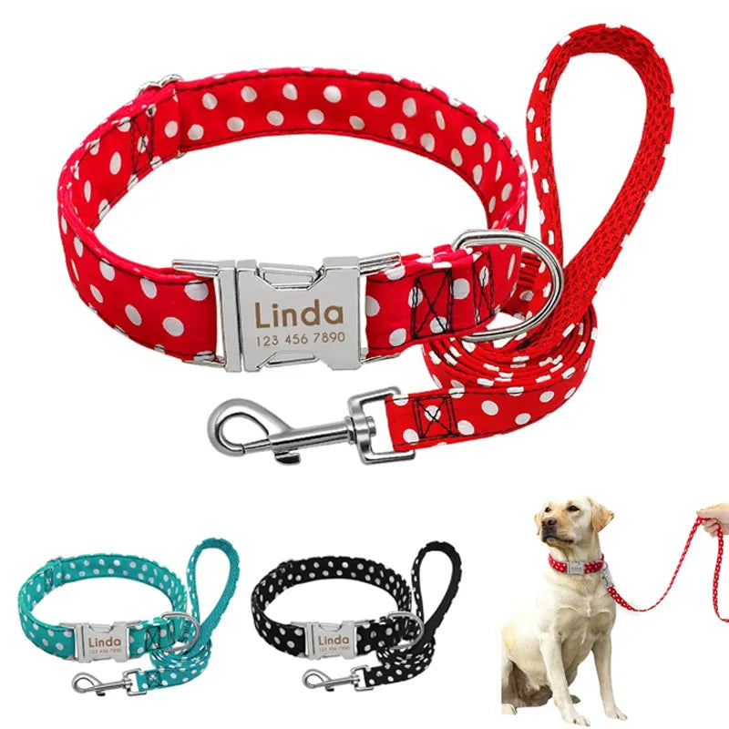 Pack Collier Personnalisé Chien et Laisse - Pois-Pile Poils