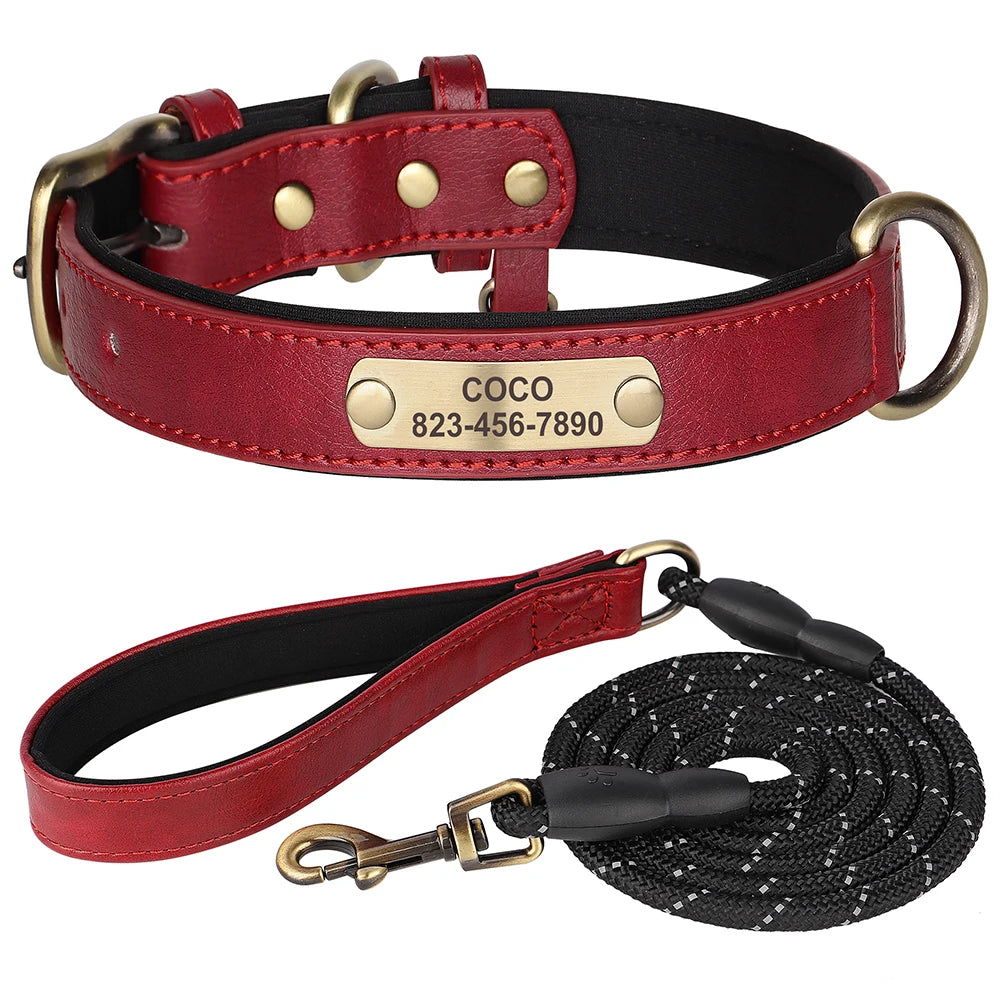 Pack Collier Personnalisé et Laisse Chien - Cuir Rembourré-Pile Poils